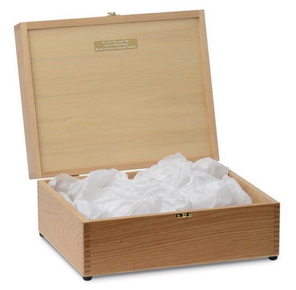 Dinosaur Keepsake and Memory Box