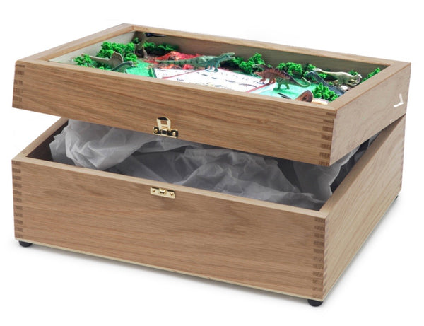 Dinosaur Keepsake and Memory Box