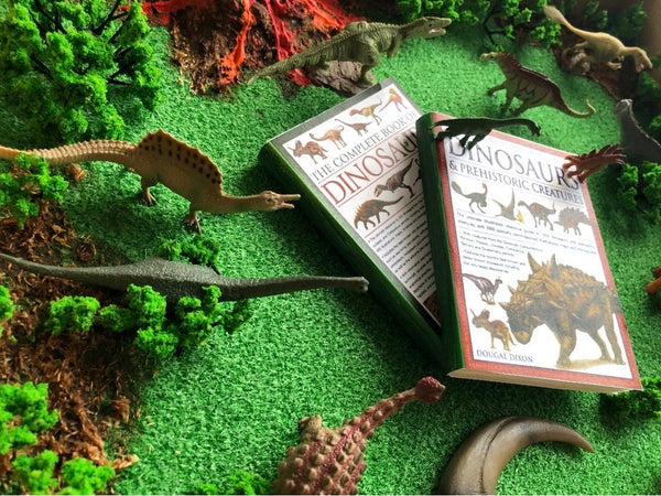 Dinosaur Keepsake and Memory Box
